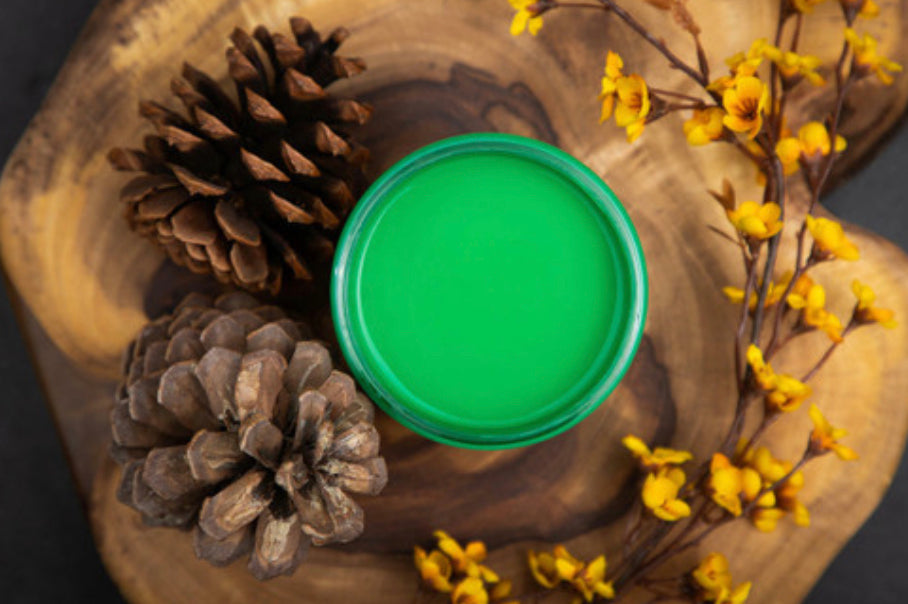Dixie Belle “Tree Frog Green” Chalk Mineral Paint