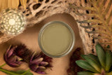 Dixie Belle “Cactus” Silk Paint
